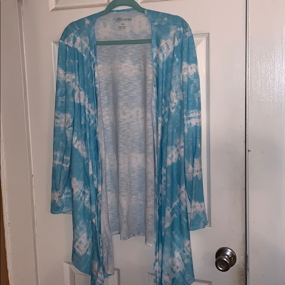 Blue Cardigan